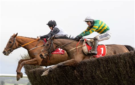 Mrs Paddy Power Mares' Chase Betting Odds Comparison 2024.